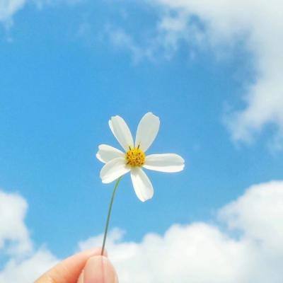 魂武手游内购破解版下载